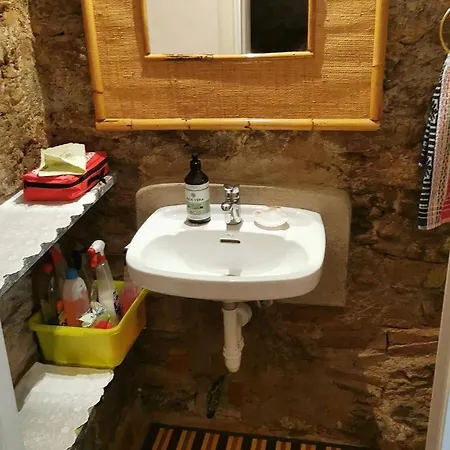 Nyaraló Viola *