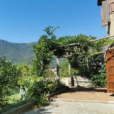 Ferienhaus Viola *